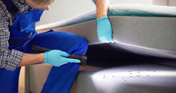 Best Mosquito Control Services  in Stanton, KY