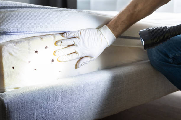 Best Pest Prevention Services  in Stanton, KY
