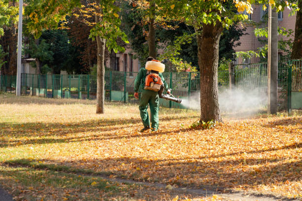 Best Mosquito Control Services  in Stanton, KY