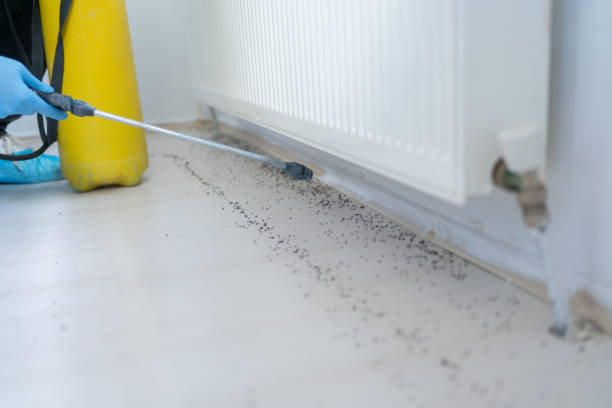 Best Residential Pest Control  in Stanton, KY